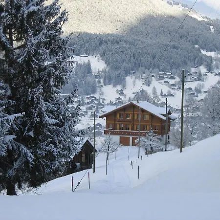 Chalet Studen