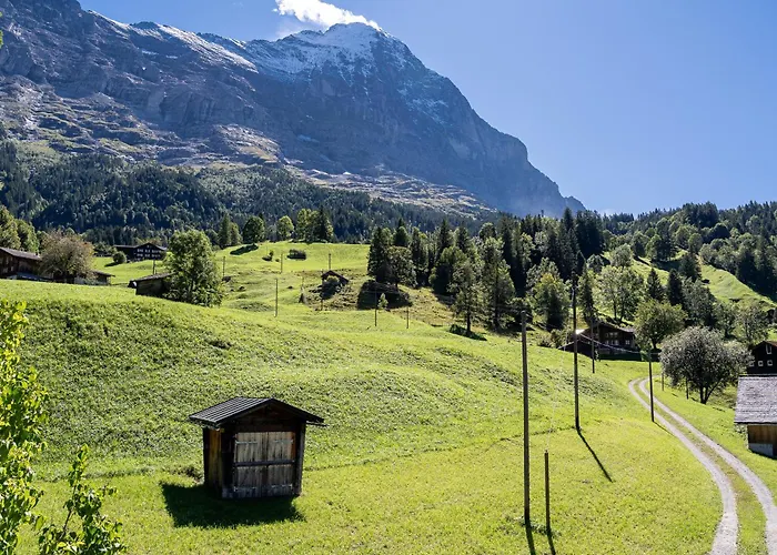Studen Grindelwald