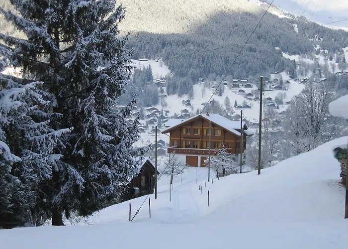 Chalet Studen